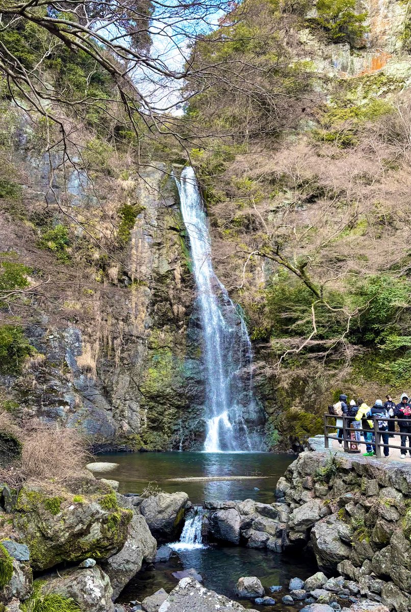 ヨウちゃん｜アクトビ採用広報 tweet media