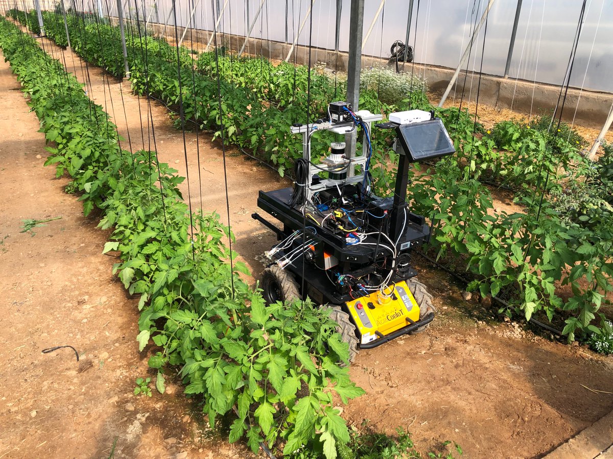 lifeacclimate's tweet image. 📊🌱 Agricultura basada en datos.

En LIFE-ACCLIMATE drones, robots y sensores generan información clave para mejorar la gestión del cultivo.

🔗 life-acclimate.eu

#LIFEACCLIMATE #DigitalAgriculture #AgTech