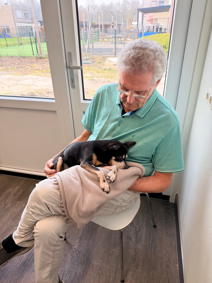 Henk Krol tweet media