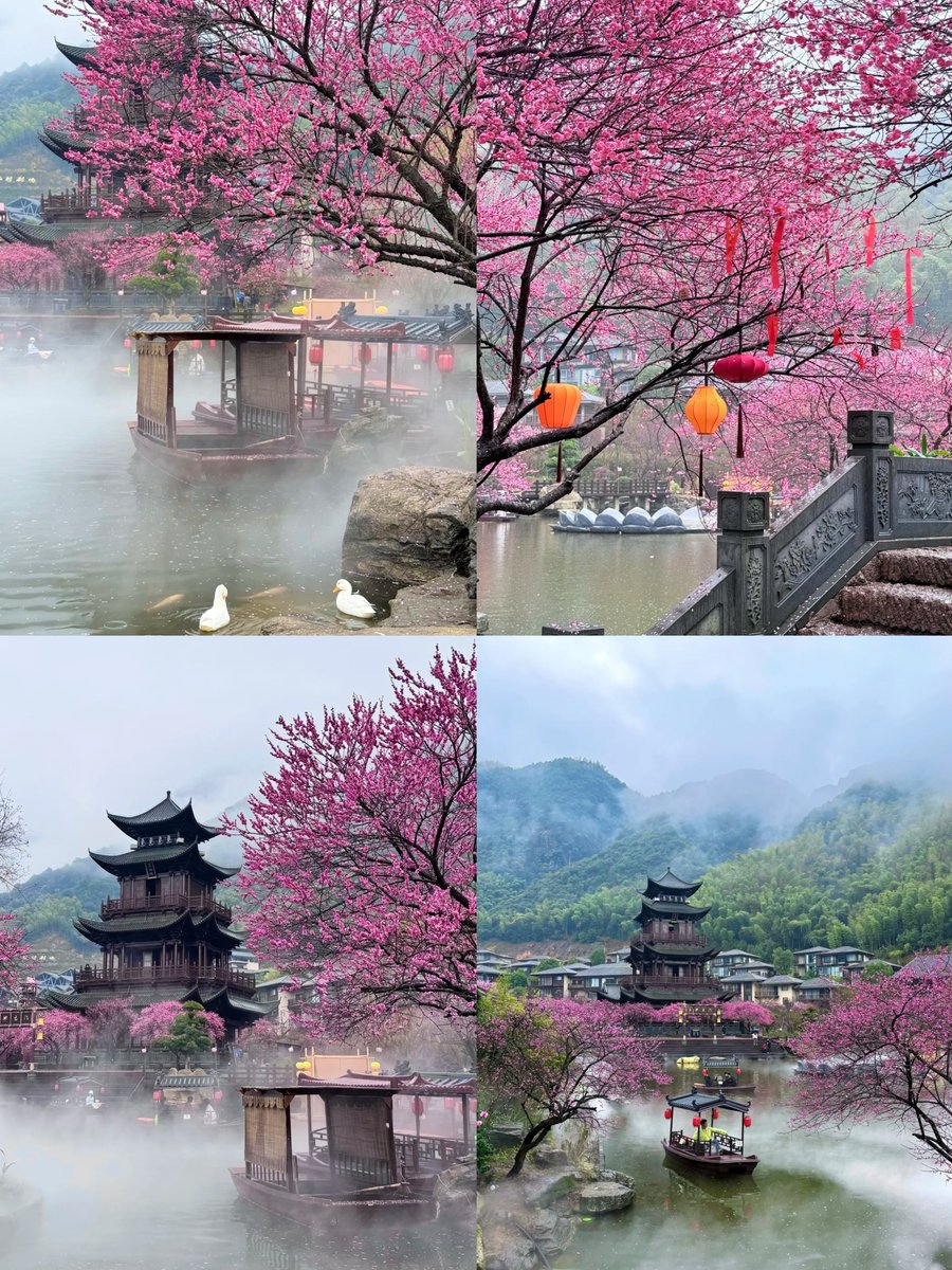 韩美丽🇨🇳（互fo互赞必回） tweet media