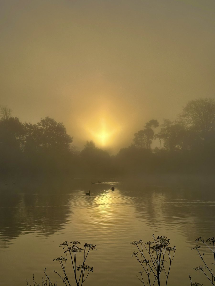 Mick Fitzgerald tweet media