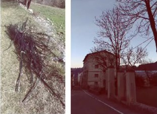 SOLSONA FM tweet media