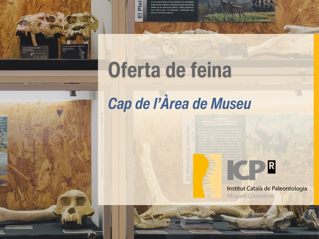 Museu de l'ICP tweet media