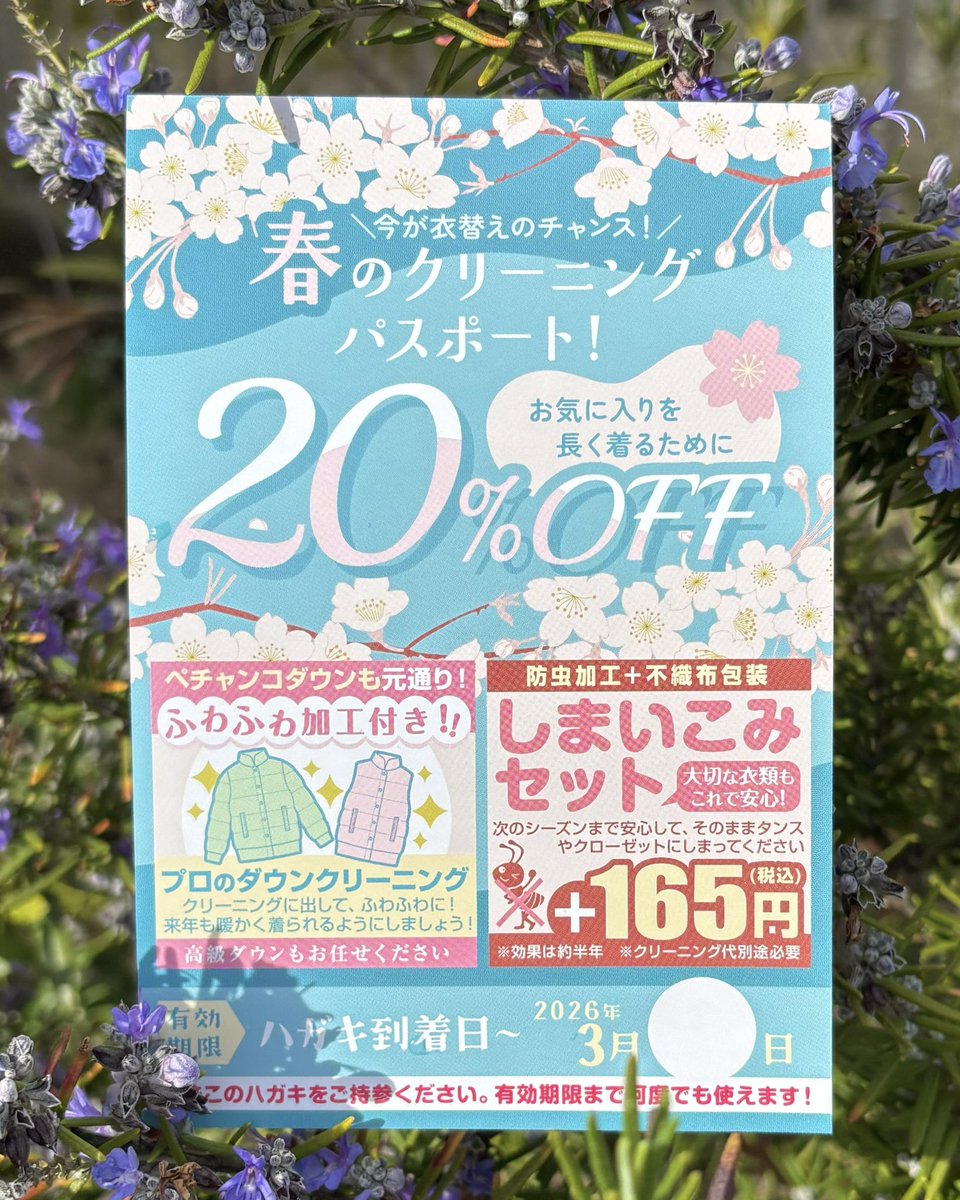 🌸春の衣替えセール開催中🌸 ⭐️＼ 全品20％OFF ／⭐️ 🗓〜3月17日