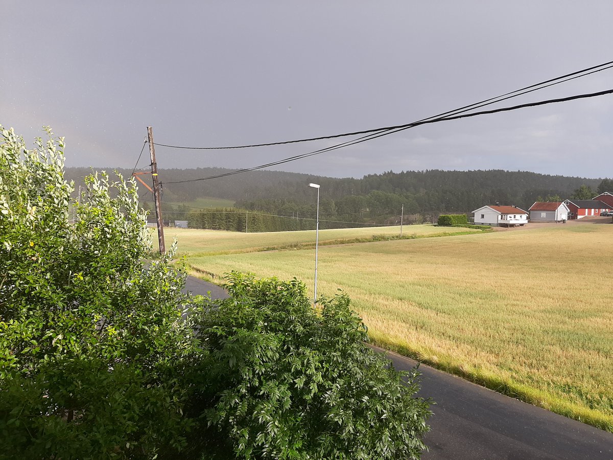 Oscar 🔩 tweet media