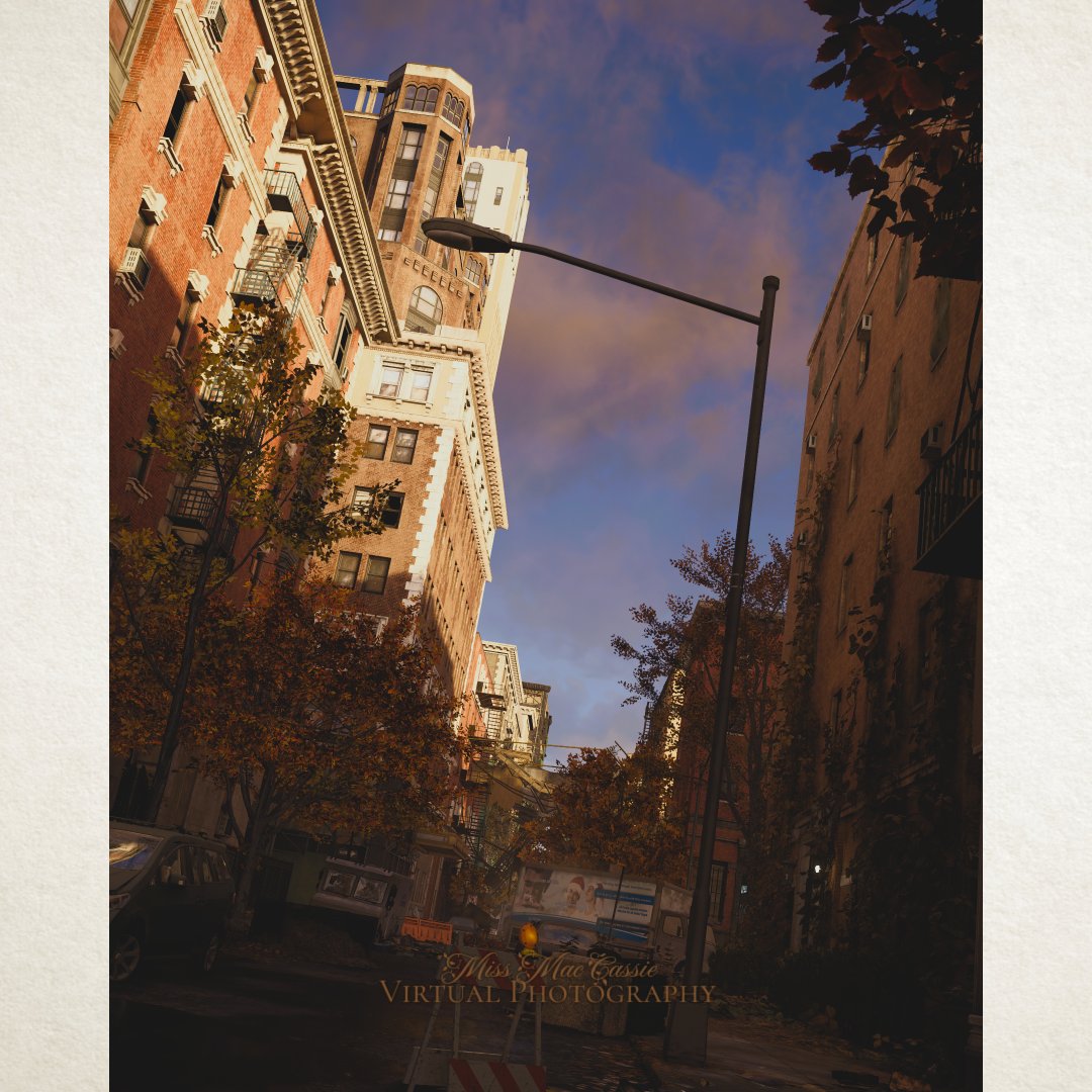 Miss Mac Cassie 🇵🇱 🏴󠁧󠁢󠁳󠁣󠁴󠁿 tweet media