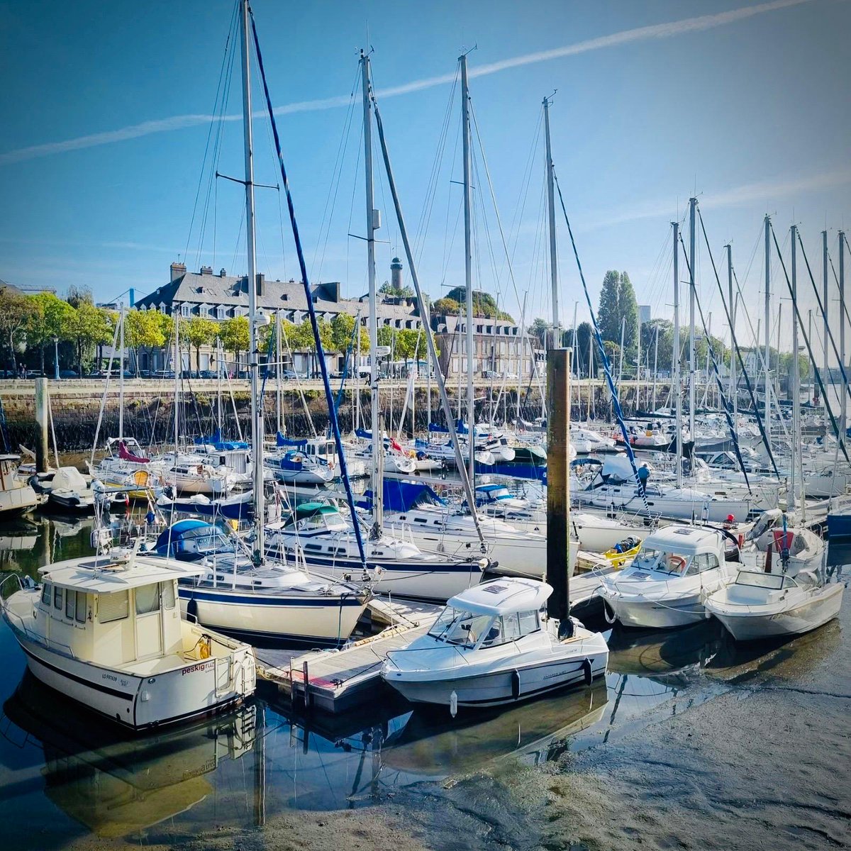 Ville de Lorient tweet media