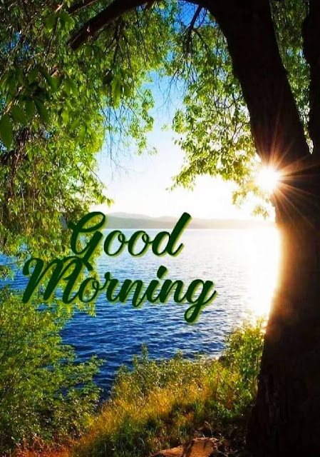 Franny Reilly tweet media