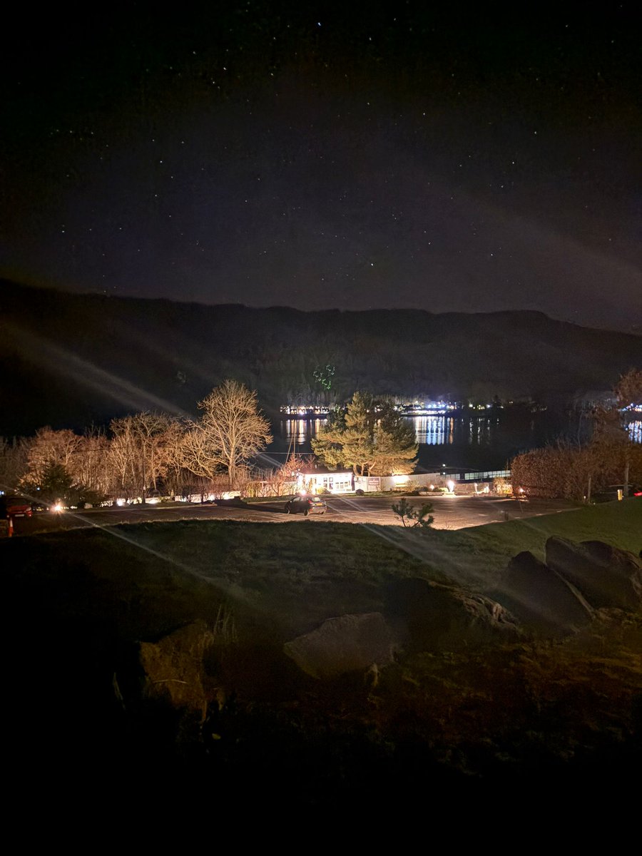 Franny Reilly tweet media