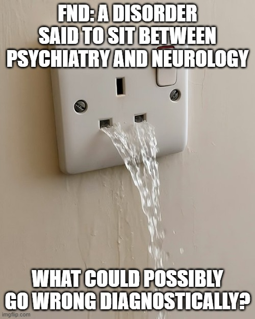 FndNope's tweet image. #FND A disorder said to sit between psychiatry and neurology. What could possibly go wrong diagnostically?