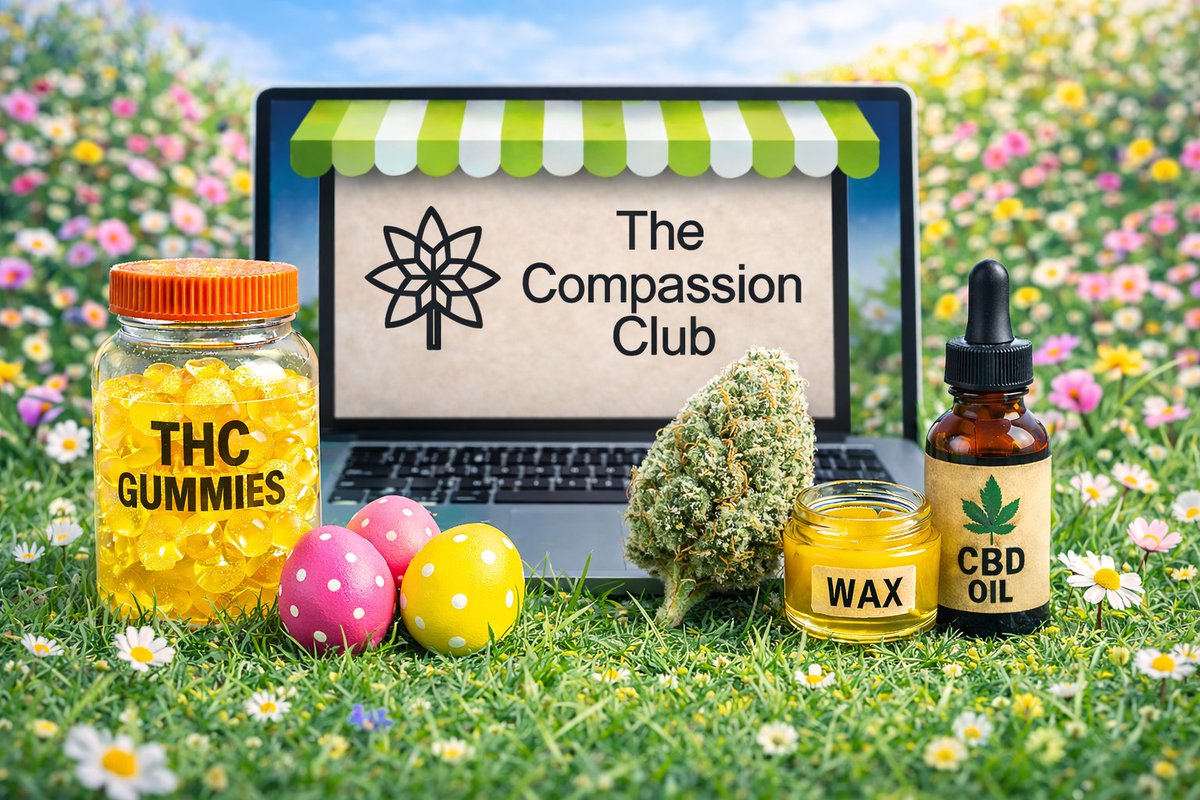 MAURO 🦂 tweet media