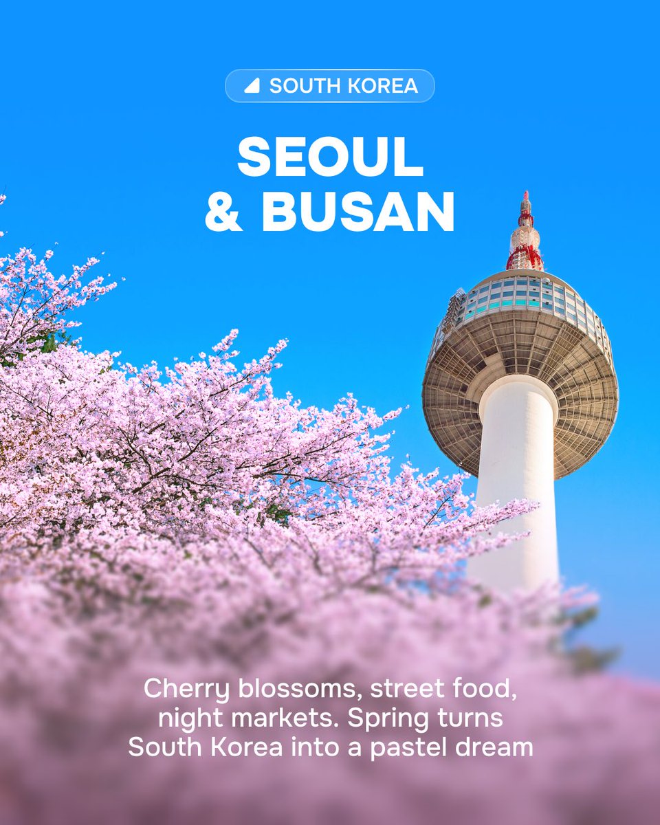 Yesim app tweet media