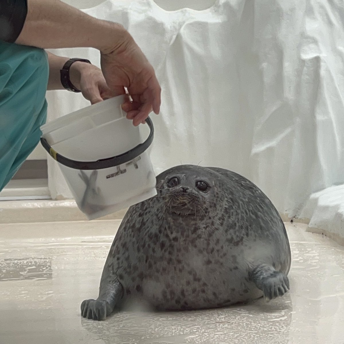 Mayuko782 tweet media