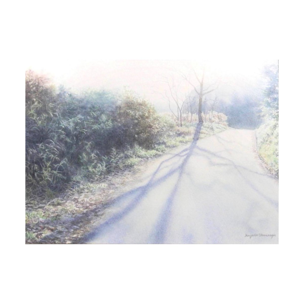 富永隼人　Hayato Tominaga tweet media