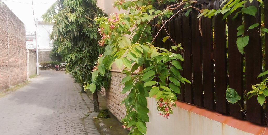 Daf - Kang Cerita, Kang Gambar ✨🕊️💐 tweet media