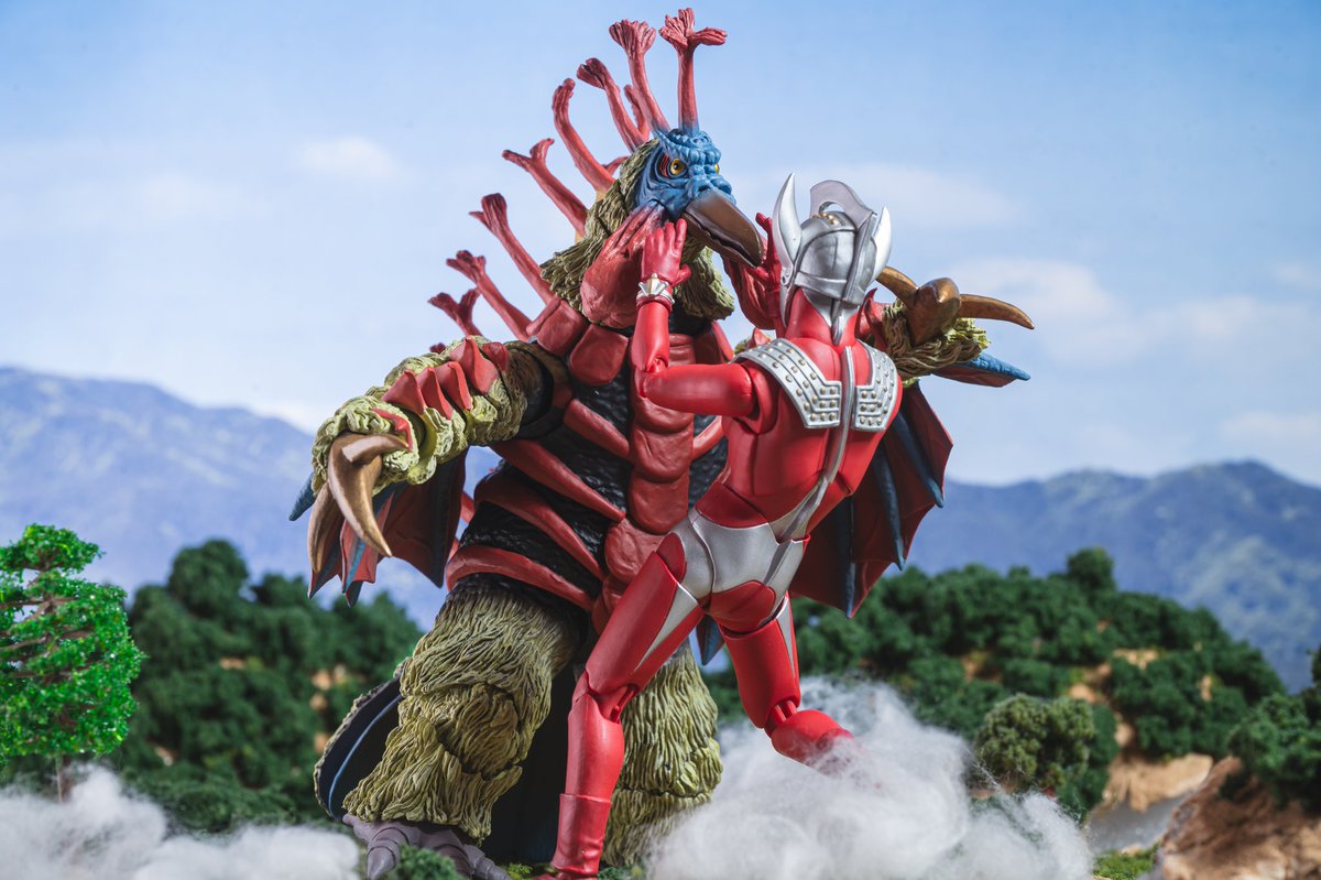 PANORAMA tweet media