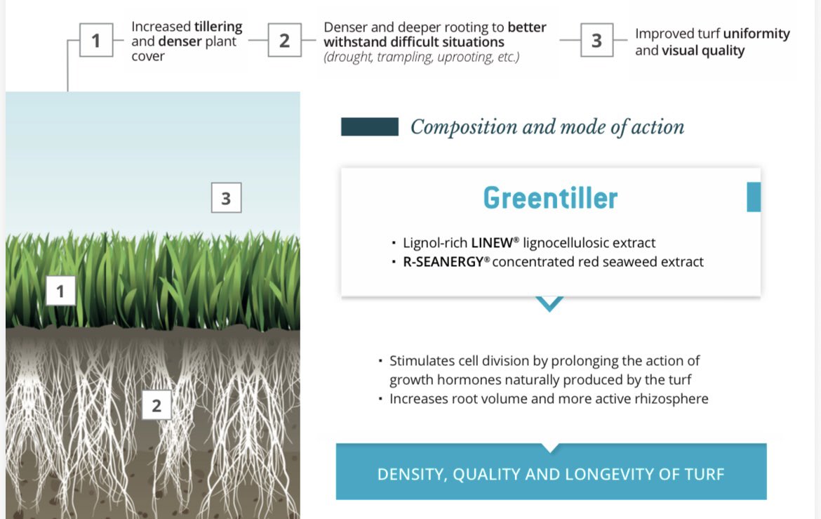 Dale ‘Ｇｏｌｆ Ｇｅｅｋ’ tweet media