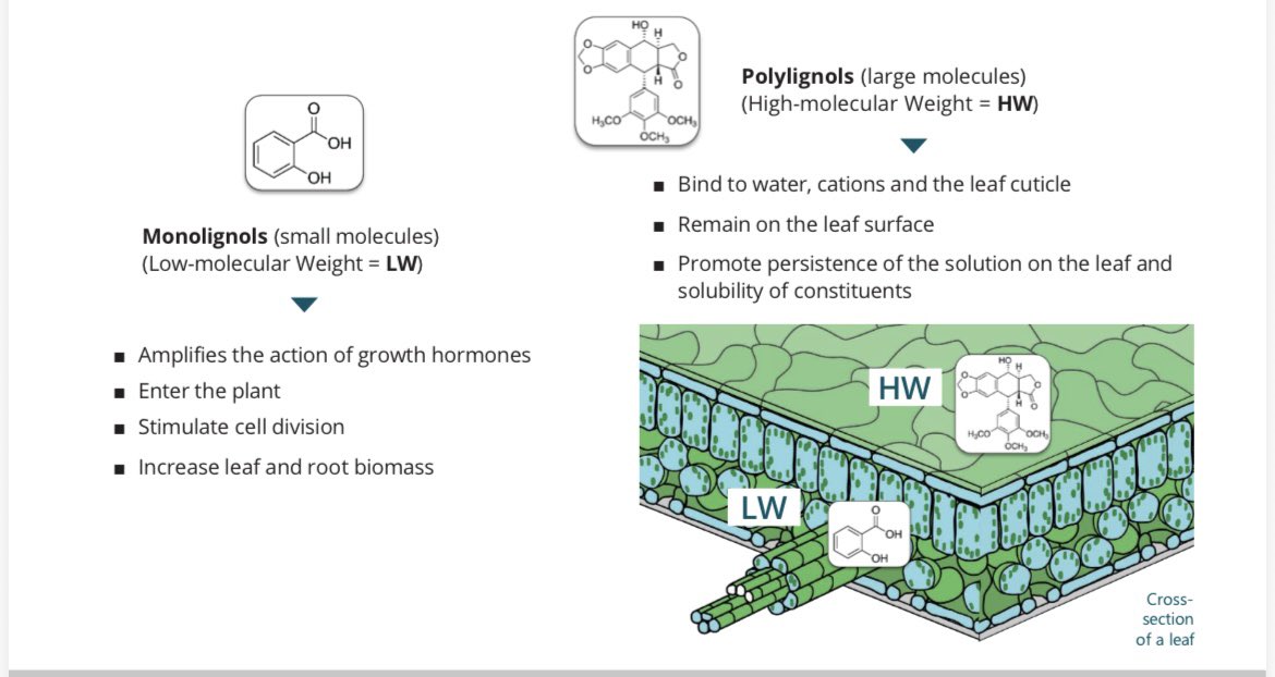 Dale ‘Ｇｏｌｆ Ｇｅｅｋ’ tweet media
