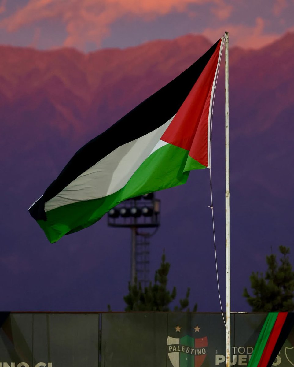 ultras_antifaa's tweet photo. CD Palestino, Chile https://t.co/FWIdq4A0gW