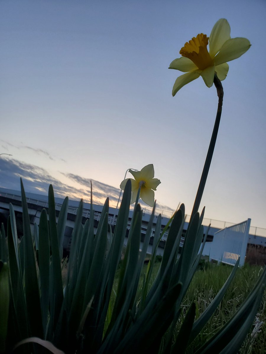 chimaかちゅ！@topwater tweet media