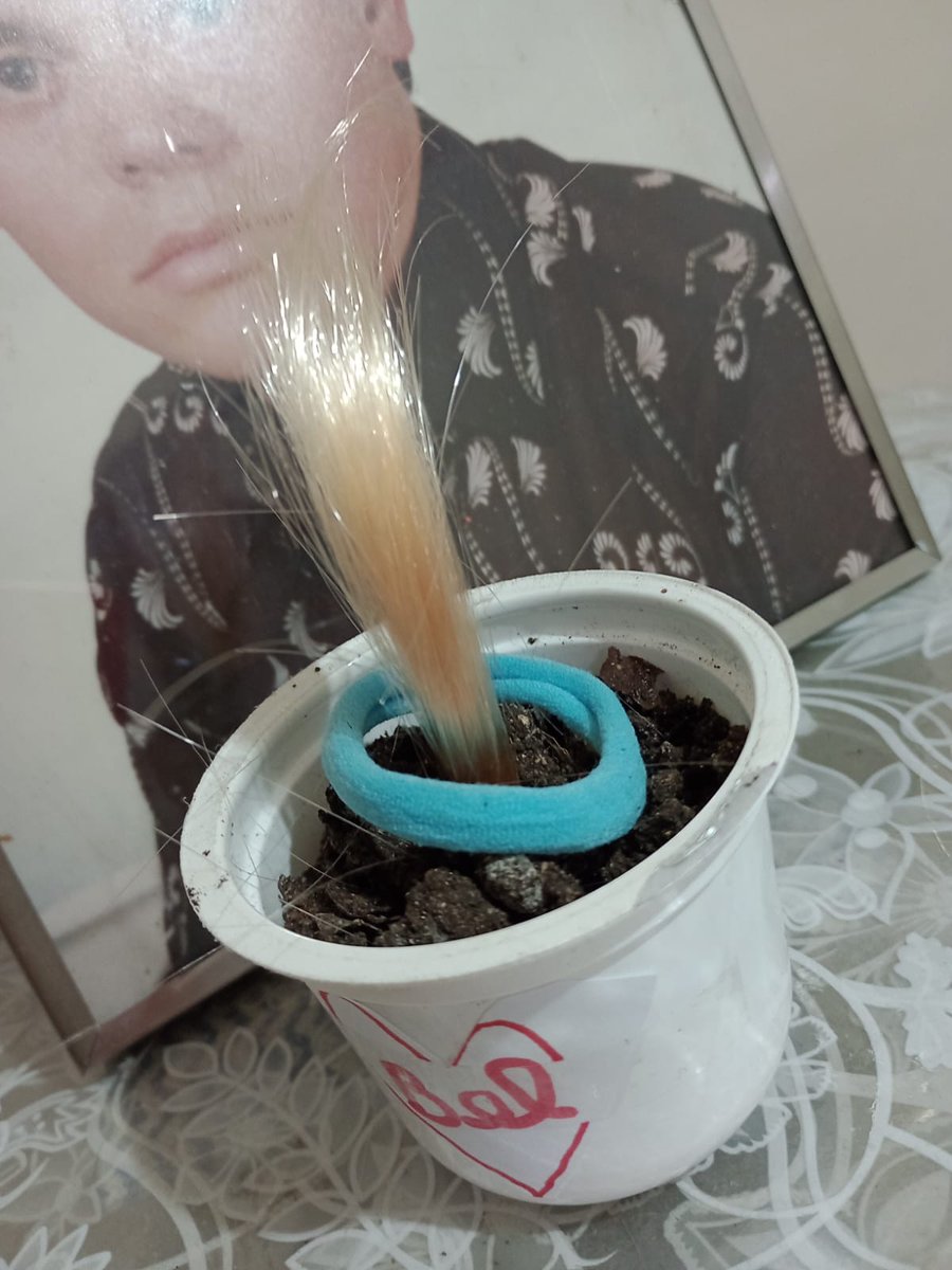 Samuel576943243's tweet image. #moda #moda2026  #Internet #lanhouse #fama #arte #foto #fotos #mulher #modelo  #Curitiba #Parana 

Eu tenho direito autoral de utilizar cabelo ( sintético da Bel ) em vasos, bom pra #decorar #casas #apartamentos 

Samuel Ricardo kroschinski
#estilista