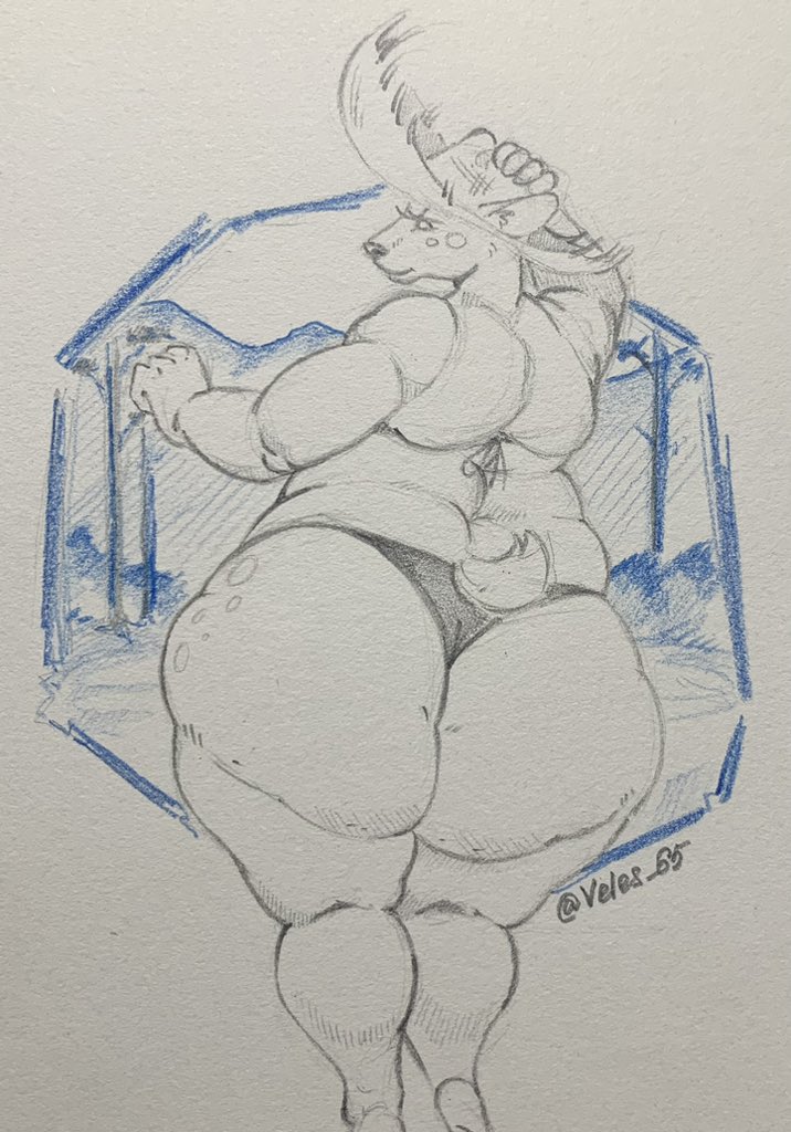 Veles (comms closed) tweet media