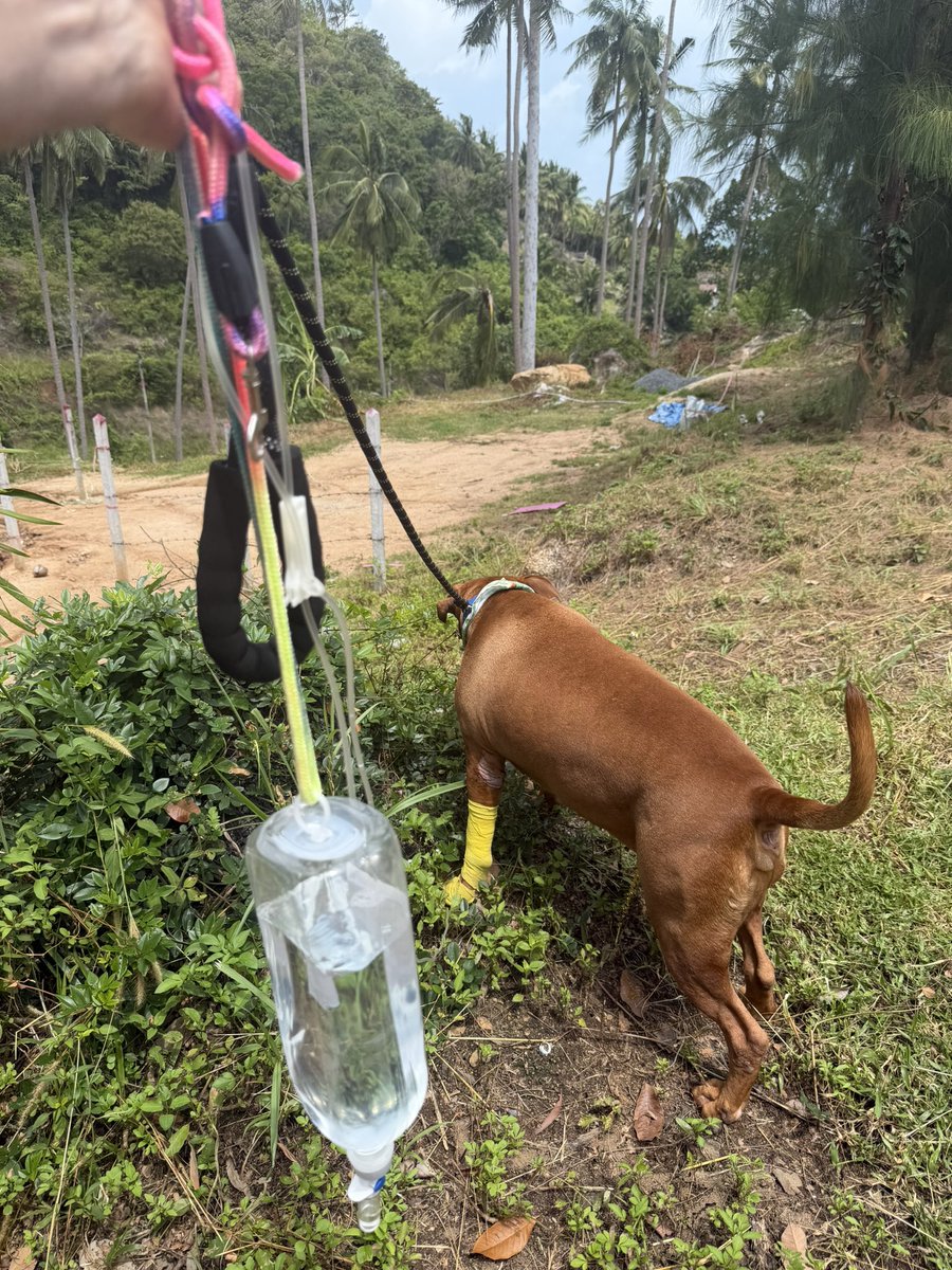 Niall Harbison tweet media