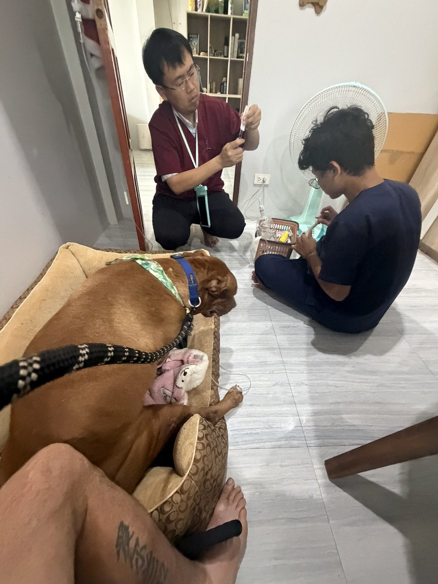 Niall Harbison tweet media