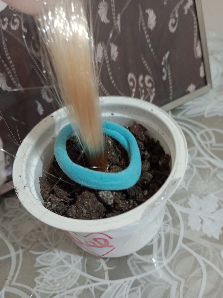 Samuel576943243's tweet image. #moda #moda2026  #Internet #lanhouse #fama #arte #foto #fotos #mulher #modelo  #Curitiba #Parana 

Eu tenho direito autoral de utilizar cabelo ( sintético da Bel ) em vasos, bom pra #decorar #casas #apartamentos 

Samuel Ricardo kroschinski
#estilista