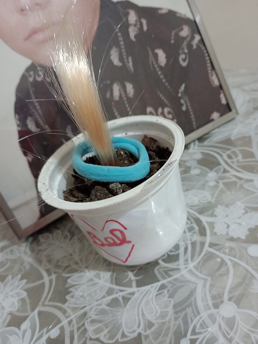 Samuel576943243's tweet image. #moda #moda2026  #Internet #lanhouse #fama #arte #foto #fotos #mulher #modelo  #Curitiba #Parana 

Eu tenho direito autoral de utilizar cabelo ( sintético da Bel ) em vasos, bom pra #decorar #casas #apartamentos 

Samuel Ricardo kroschinski
#estilista