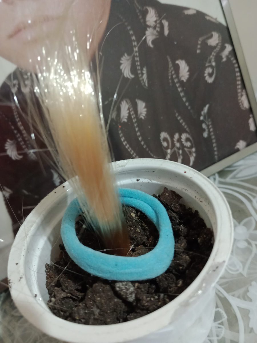 Samuel576943243's tweet image. #moda #moda2026  #Internet #lanhouse #fama #arte #foto #fotos #mulher #modelo  #Curitiba #Parana 

Eu tenho direito autoral de utilizar cabelo ( sintético da Bel ) em vasos, bom pra #decorar #casas #apartamentos 

Samuel Ricardo kroschinski
#estilista