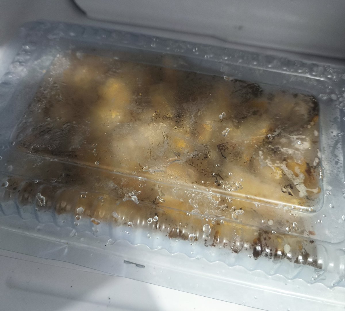 mootsku adakah yang mau babi panggang 1 pack? aku ada lebihan dan ga akan habis karena bentar lagi mau mudik. daripada mubazir 🥲 kalo mau, besok atau kamis aku ada di kobar AYO BANTU AKU ☝🏻🤧