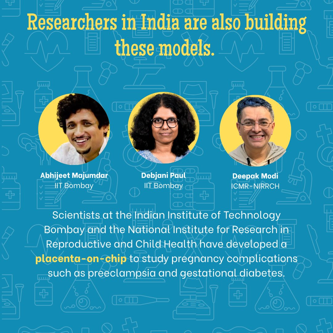 Centre for Predictive Human Model Systems tweet media