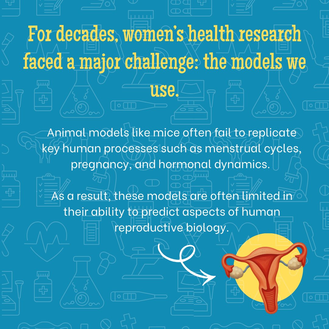 Centre for Predictive Human Model Systems tweet media