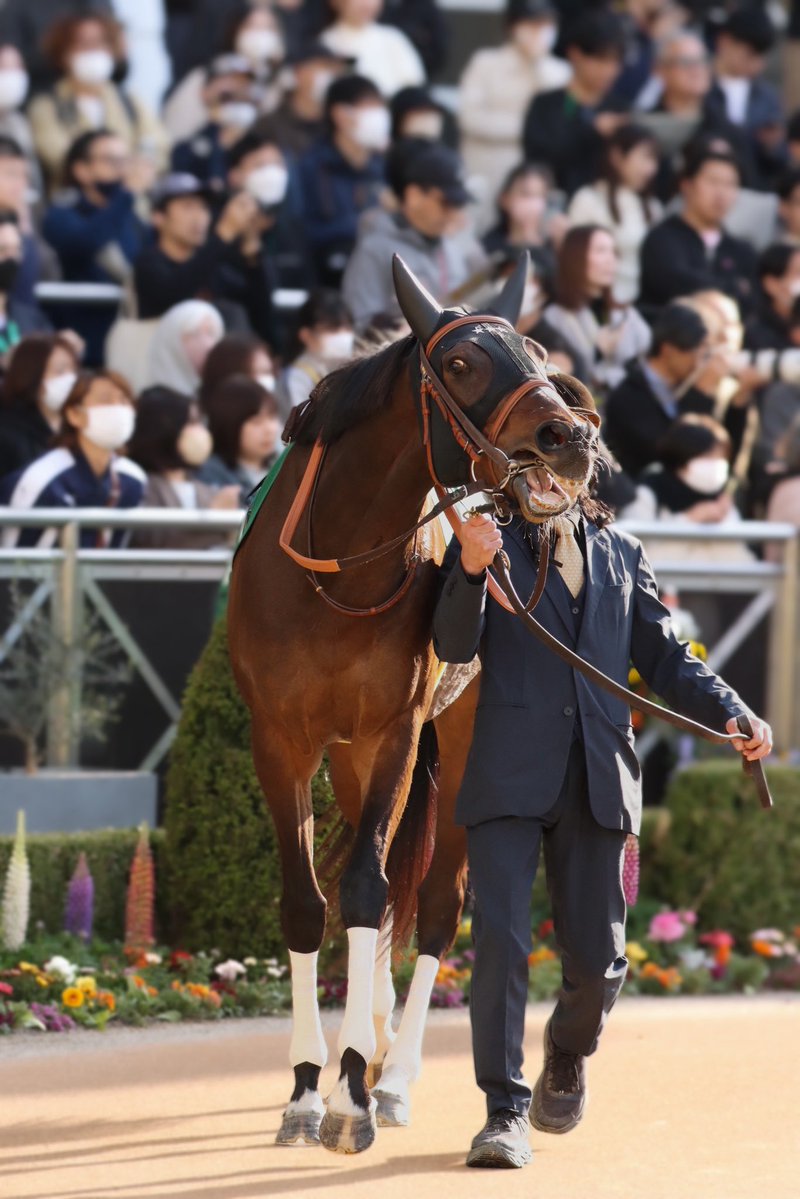 審査会 tweet media