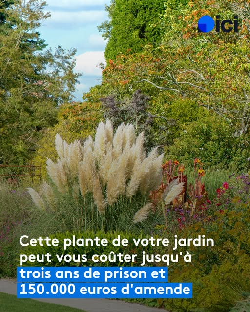 Lili Adresan🌺 tweet media