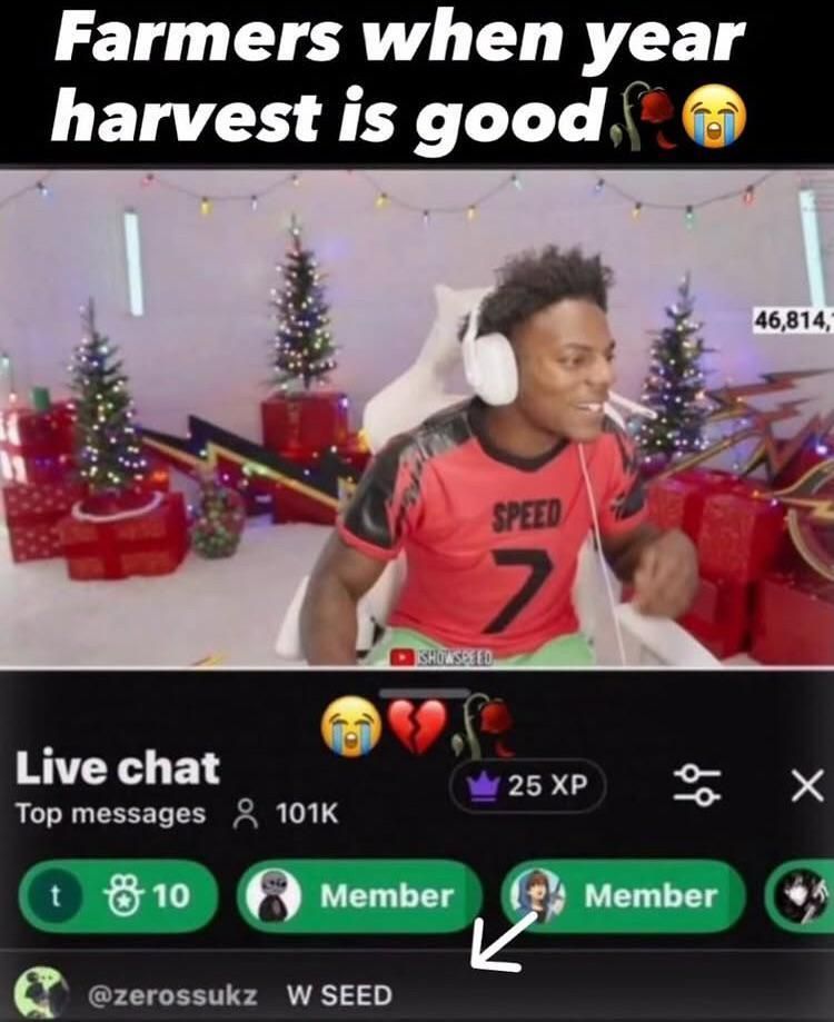 literal memes tweet media