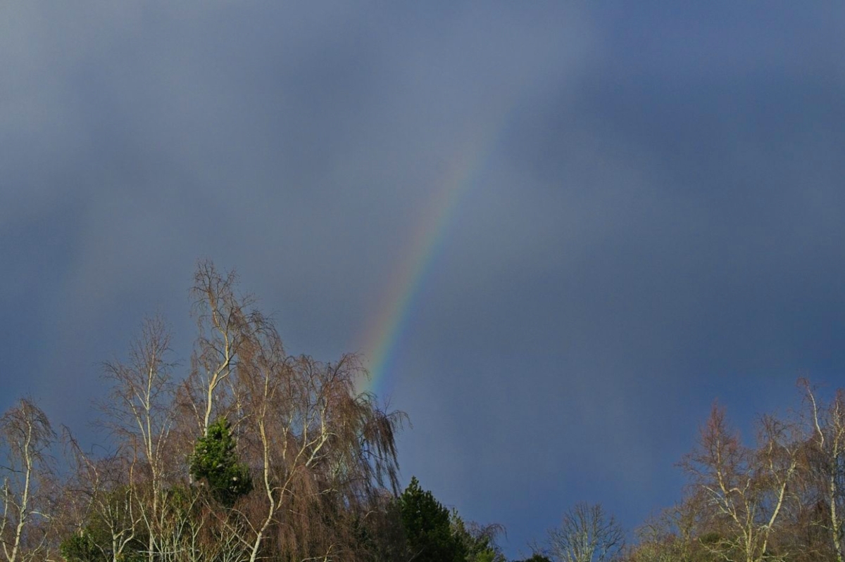 Kevin Rose tweet media