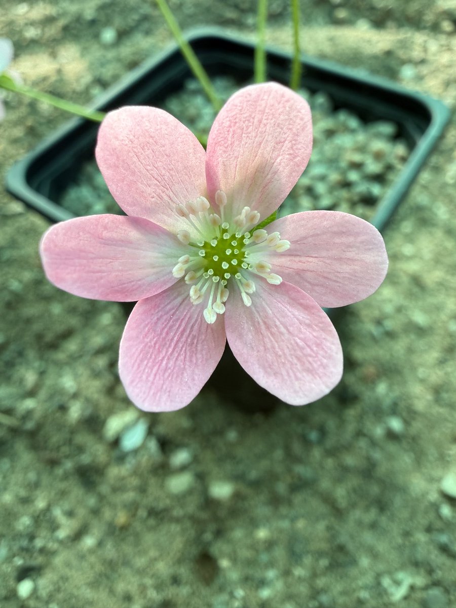 Alan James Gardner tweet media