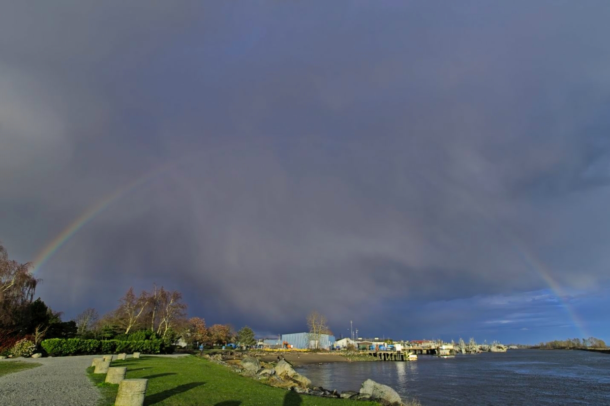 Kevin Rose tweet media