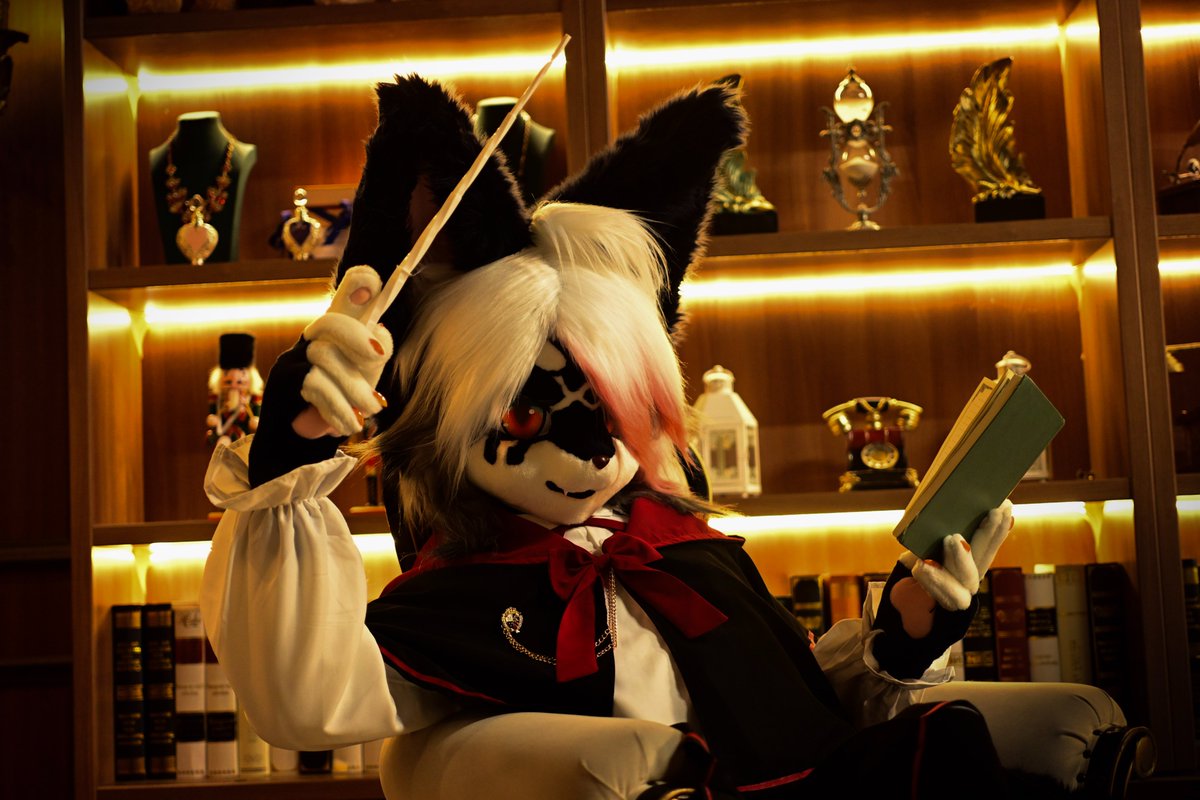 벨록스 tweet media