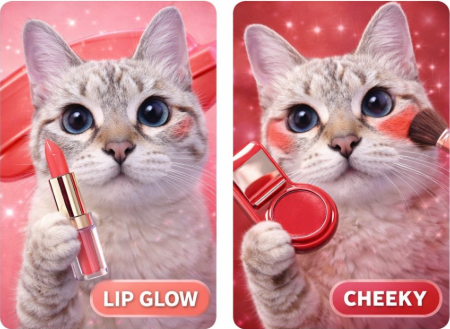 뷰덕이 tweet media