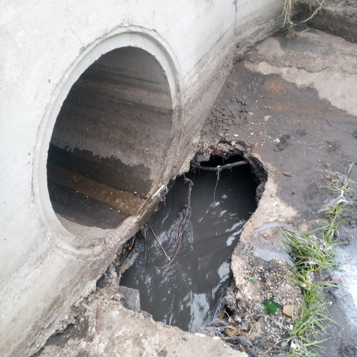 City_Ekurhuleni's tweet photo. * Community education and awareness on water conservation
π Areas attended to:
* #Spruitview
* Roets Drive, #Vosloorus
* August Road, #Germiston
* Main Reef Road, #Boksburg
* Jack Street, #Germiston
* Dyson Road, Wadeville, #Germiston https://t.co/74Laq1iPQr