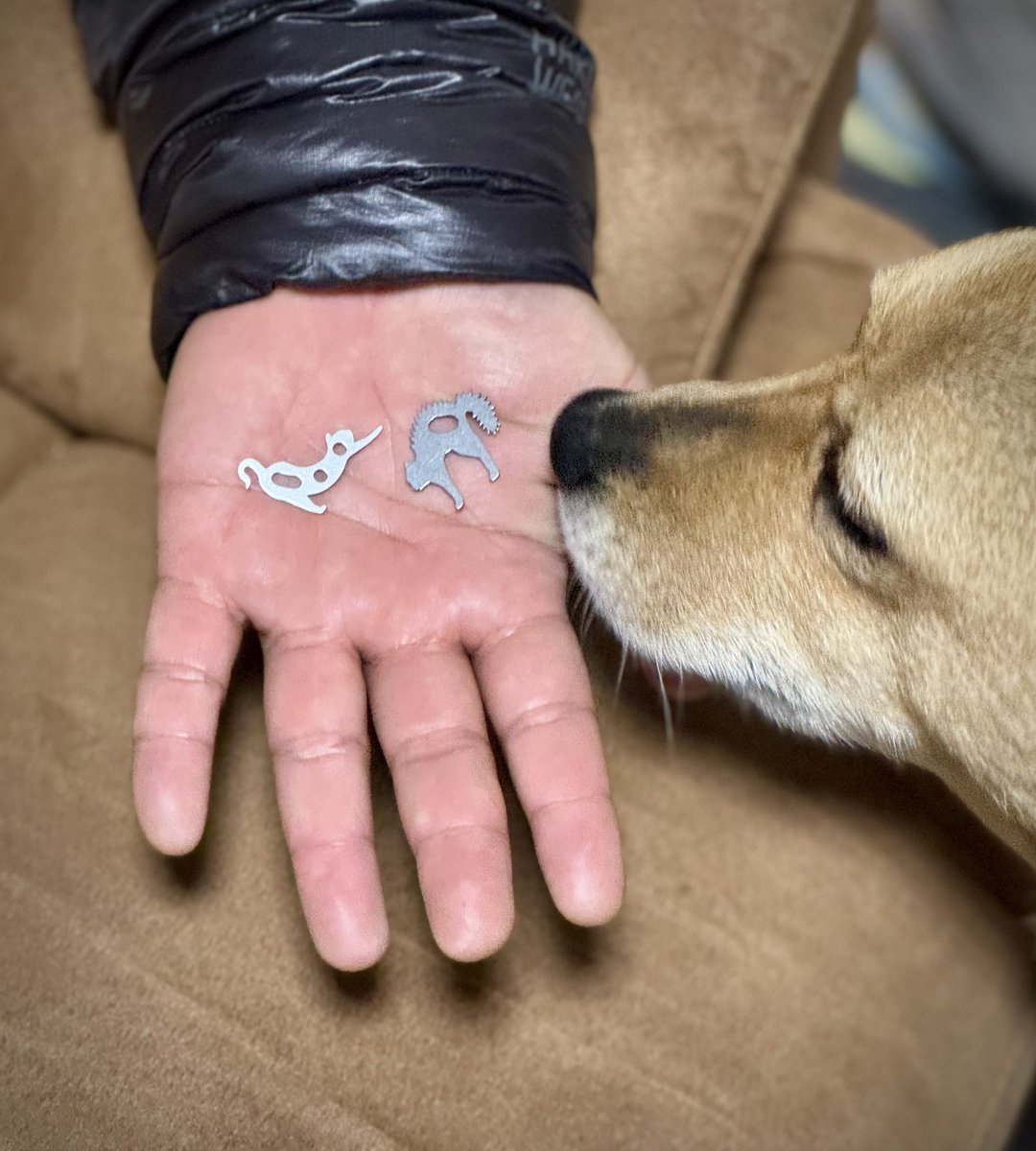 BoovyCamp@FunOutbreak代表 tweet media