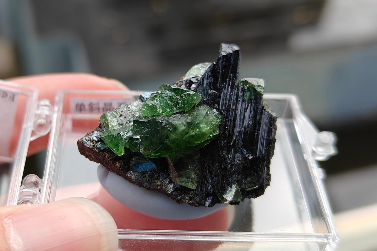 BG5ACF's tweet photo. 粒硅镁石（Chondrodite）产自🇵🇰
板磷铁矿共生蓝铁矿（Ludlamite &amp; Vivianite）产自🇧🇷 https://t.co/GmtJmDBom7