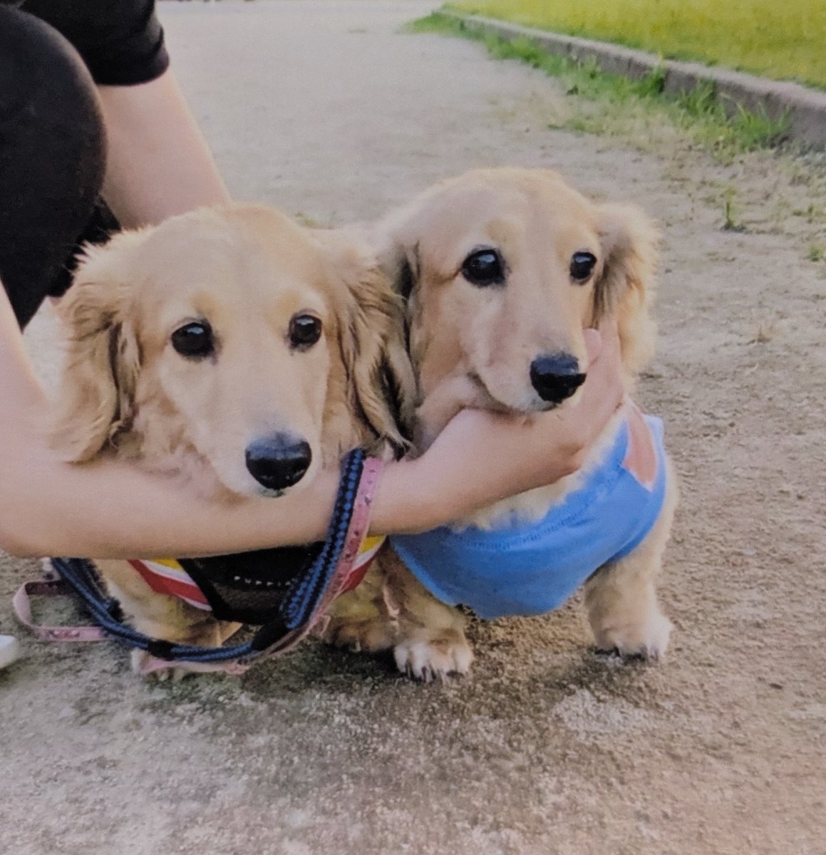 KK 半年経ってやっとプロフィールに🌈を… tweet media