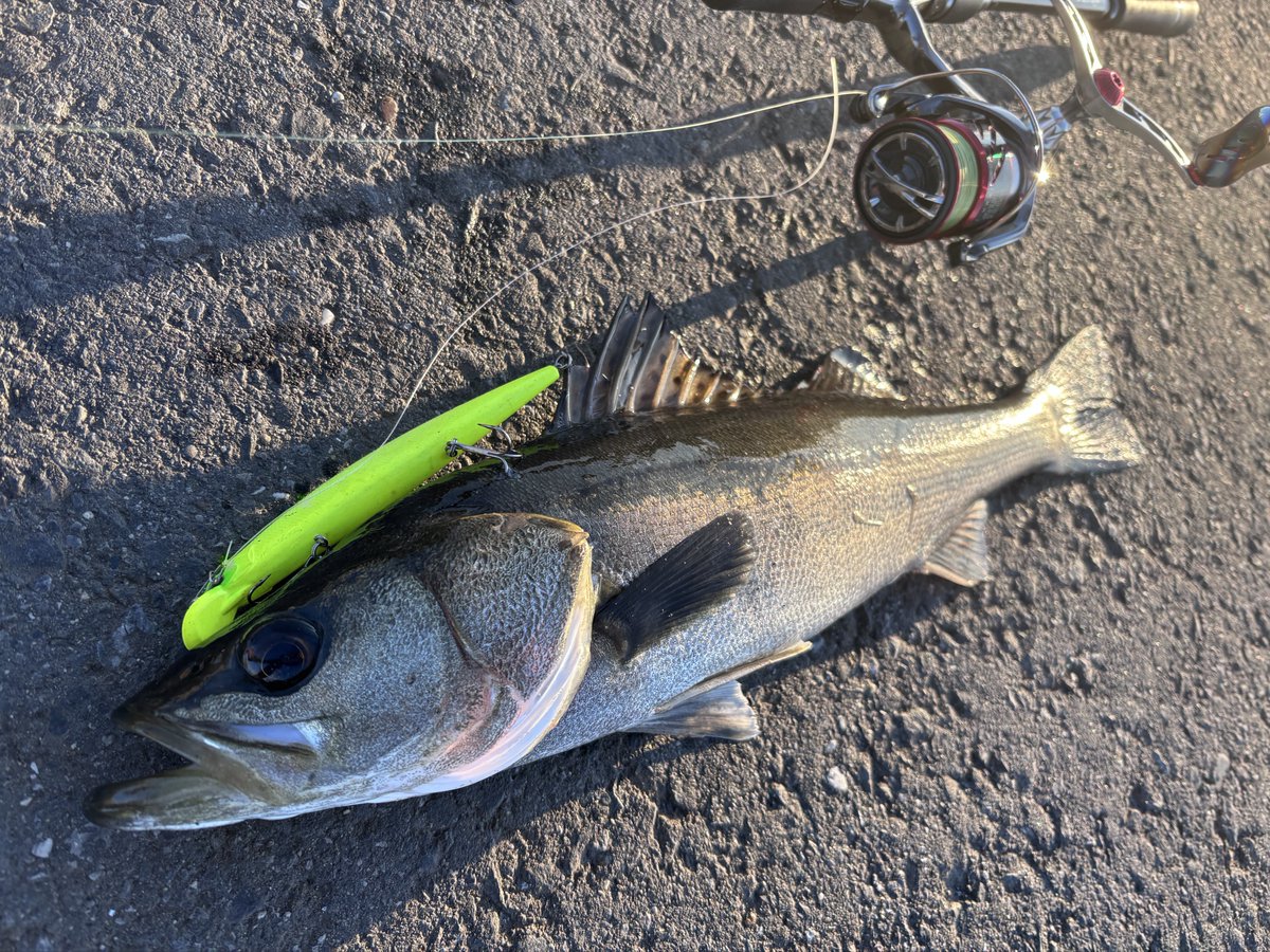 hiro 𓆝 tweet media