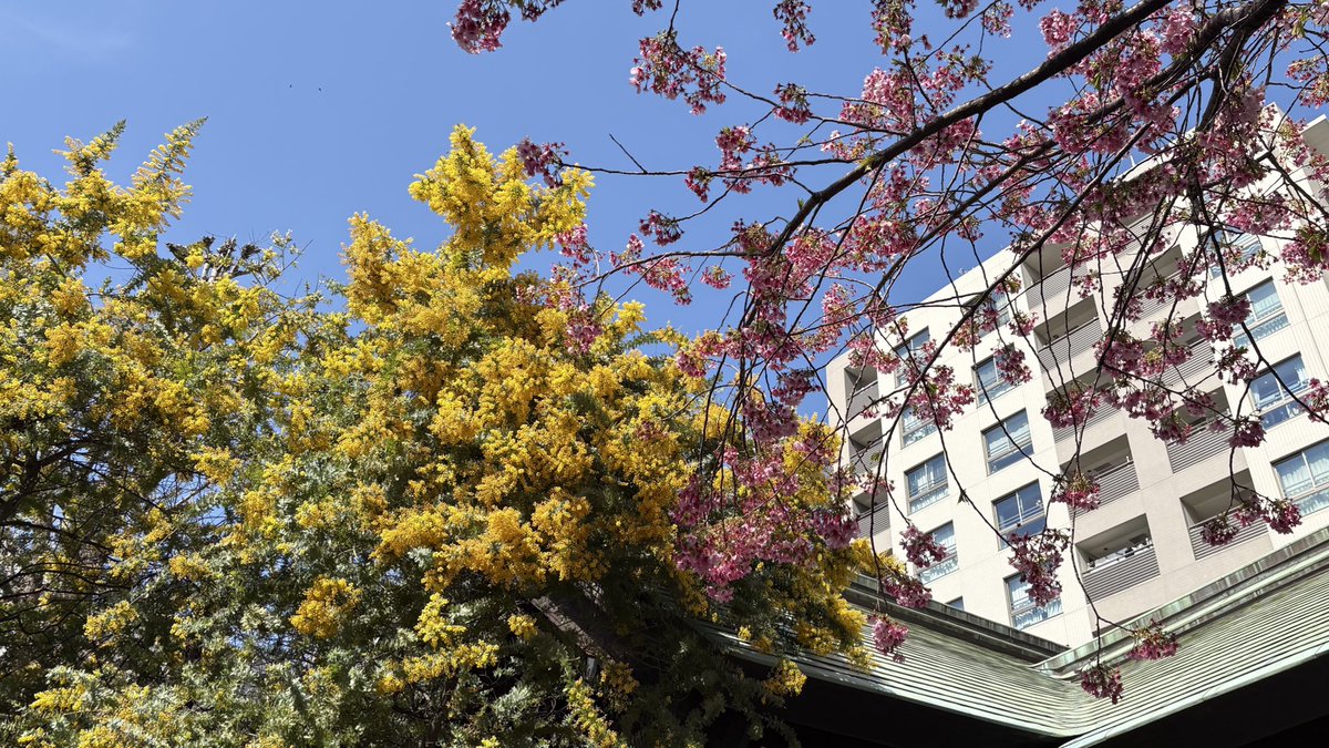 n (@m_runuo) on Twitter photo 