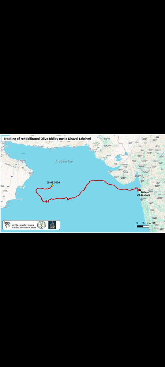 Mangrove Foundation of Maharashtra tweet media