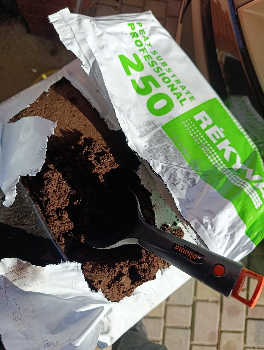 Maks Mykytyn tweet media